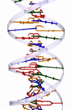 Isolated DNA helix clipart