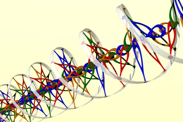 DNA dupla hélice — Fotografia de Stock