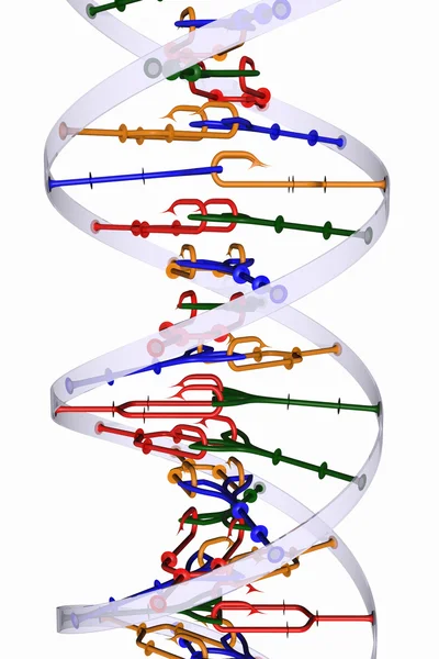 Изолированная спираль ДНК — стоковое фото