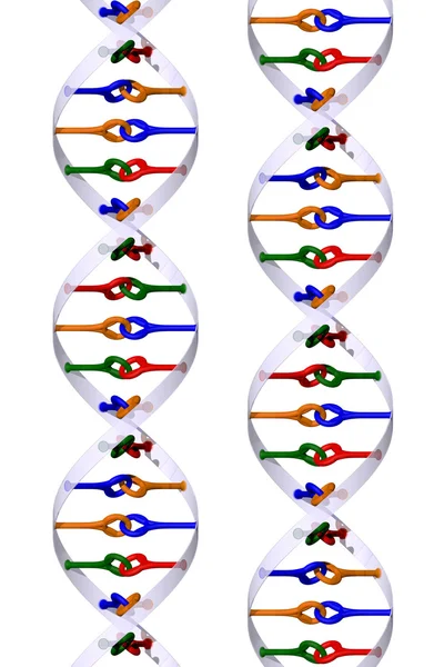 Изолированные спирали ДНК — стоковое фото