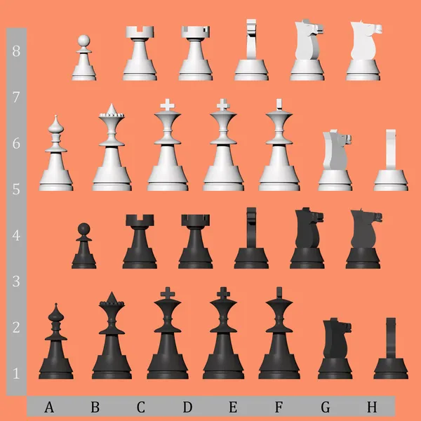 Peças de xadrez branco e preto — Fotografia de Stock