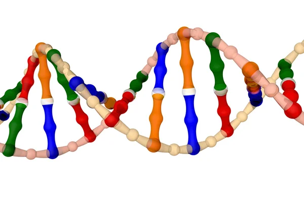 DNA (izolované na bílém pozadí) — Stock fotografie