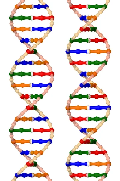 DNA helices — Stock Photo, Image