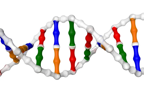 DNA-spiralen — Stockfoto