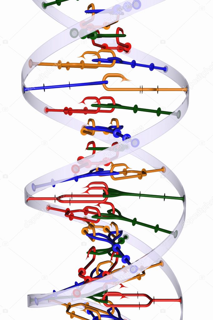Isolated DNA helix