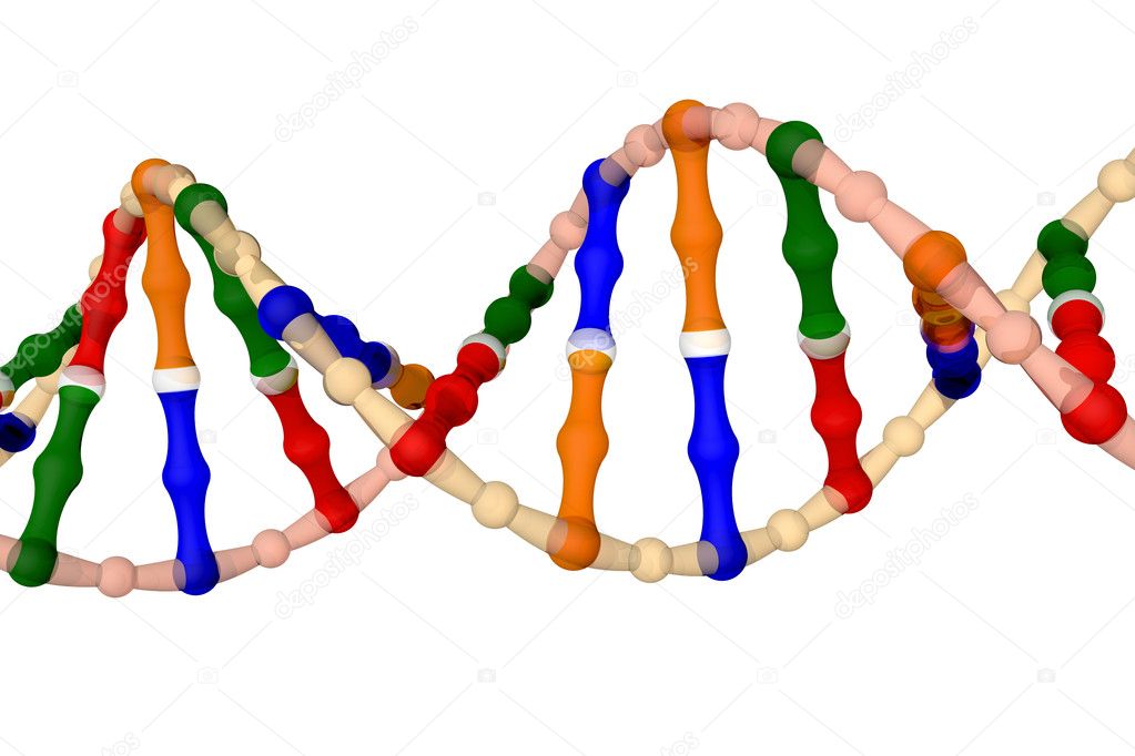 DNA (isolated on a white background)