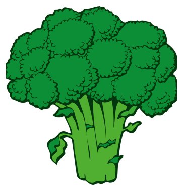 Broccoli clipart