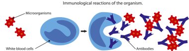 Immune response clipart