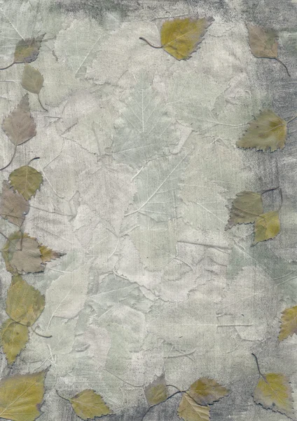 Осенняя текстура бумаги — стоковое фото