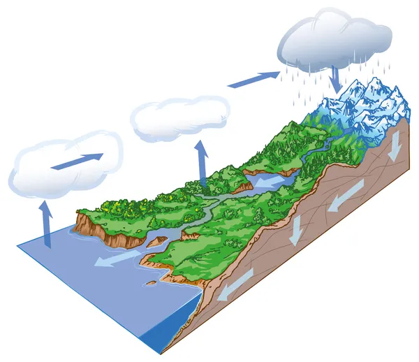 Circulation de l'eau — Image vectorielle