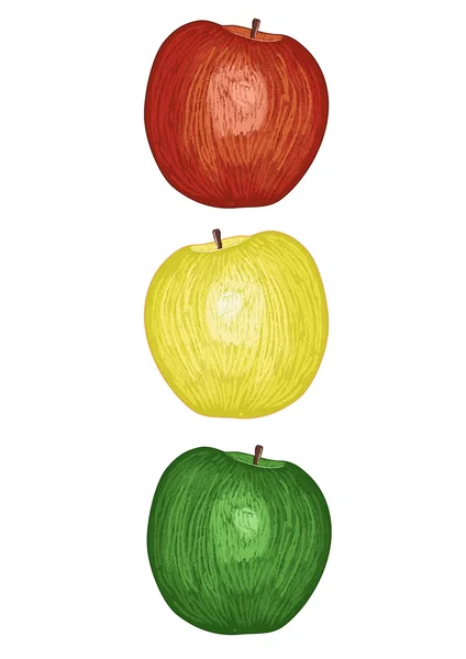 Manzanas — Vector de stock