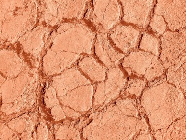 Detail of dry land in namib desert, namibia clipart