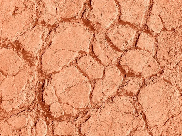 stock image Detail of dry land in namib desert, namibia