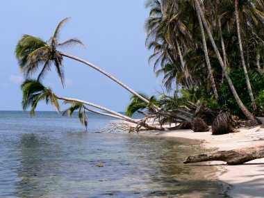 Kosta Rika Beach