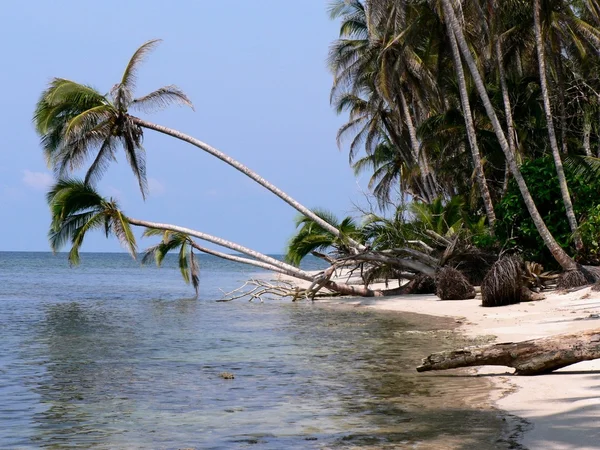 Пляж в Коста-Риці Ліцензійні Стокові Зображення