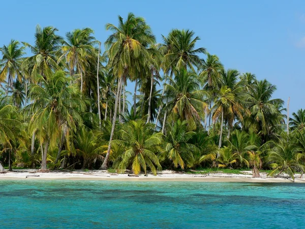 Île paradisiaque, panama, san blas — Photo