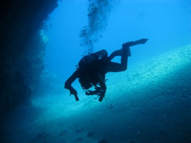 Bottom of red sea with diver