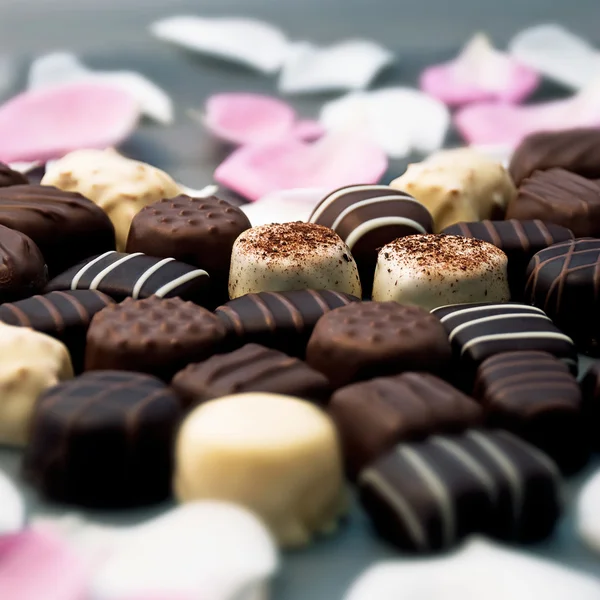 Chocolate truffles and rose petals — Stock Photo, Image