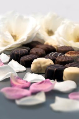 çikolata truffles ve gül yaprakları 03