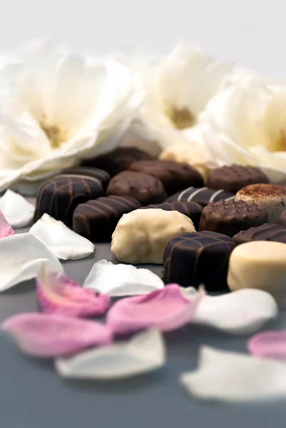 巧克力松露巧克力和玫瑰花瓣 03 — Stock fotografie