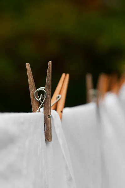 Ligne de lavage et cheville de vêtements — Photo