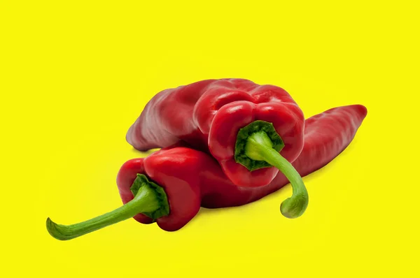 Rote süße Paprika lange Paprika — Stockfoto