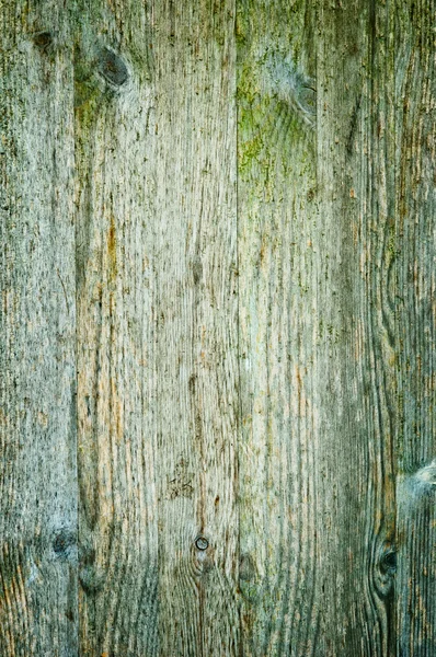 Текстура дерева, 08 — стоковое фото