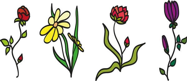 Dekorativní květiny — Stockový vektor