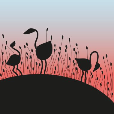 Flamingo at dawn clipart