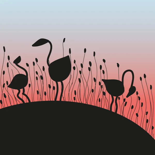 Flamingo za svítání — Stockový vektor