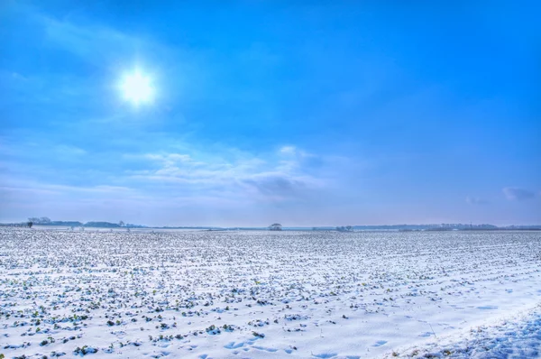 Sole e neve — Foto Stock