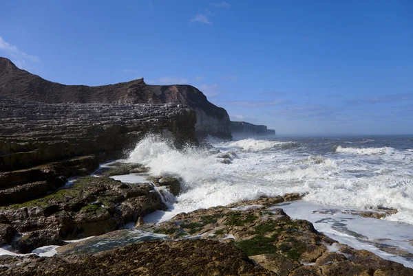 stock image Coast