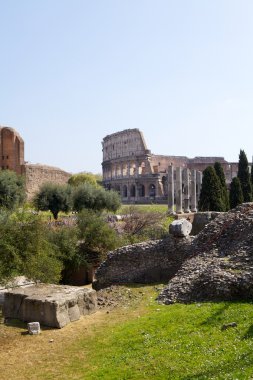 Colosseum için imparatorluk üzerinden bir
