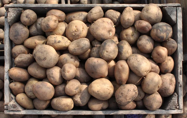 stock image Wooden box of potatoes