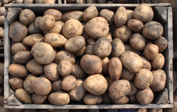 Wooden box of potatoes Stock Image