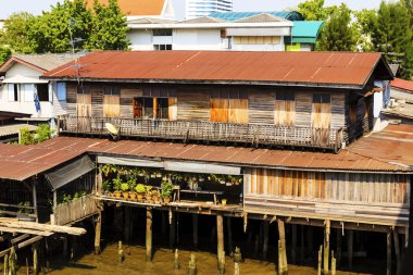 eski ahşap evlerin chao phraya nehrin yanında. Bangkok, thailan