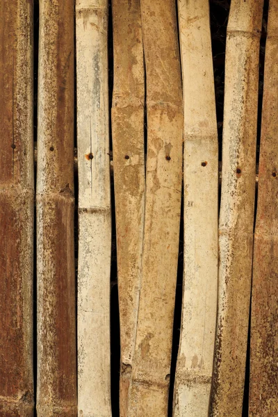 오래 된 대나무 — 스톡 사진