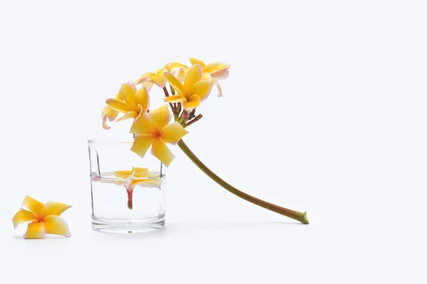 Spa met frangipani bloemen kaars en Tuimelaar geïsoleerde Wit ba — Stockfoto