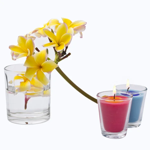 Spa frangipani kwiaty świeca i kubek na białym tle biały ba — Zdjęcie stockowe