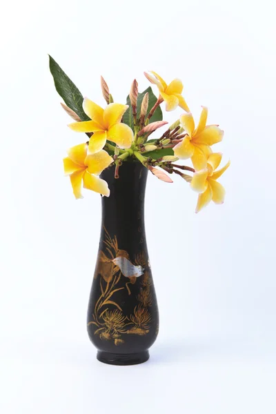Frangipani-Blume in einer alten Vase im asiatischen Stil. — Stockfoto