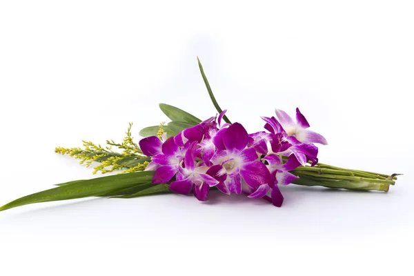 Krásné fialové orchideje zabalený do pandan listy. — Stock fotografie