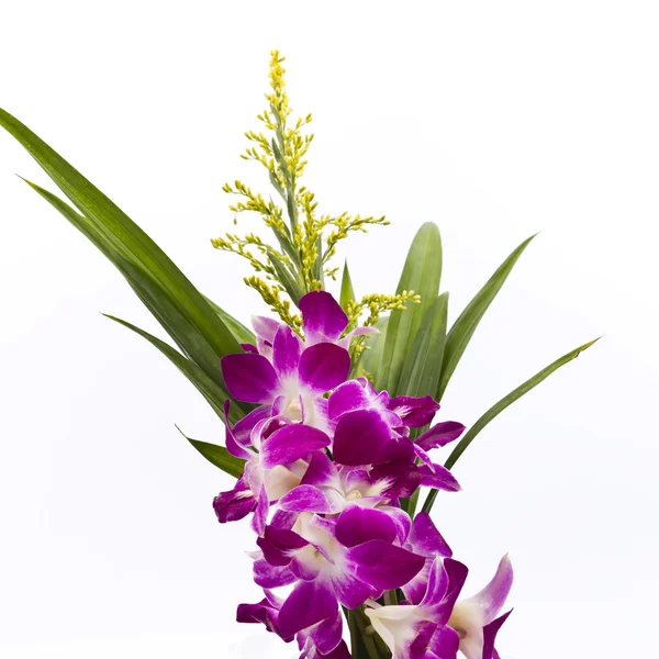 Krásné fialové orchideje zabalený do pandan listy. — Stock fotografie