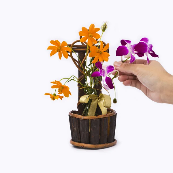 Dekorace vesmír daisy a fialová orchidej v malé koše h — Stock fotografie