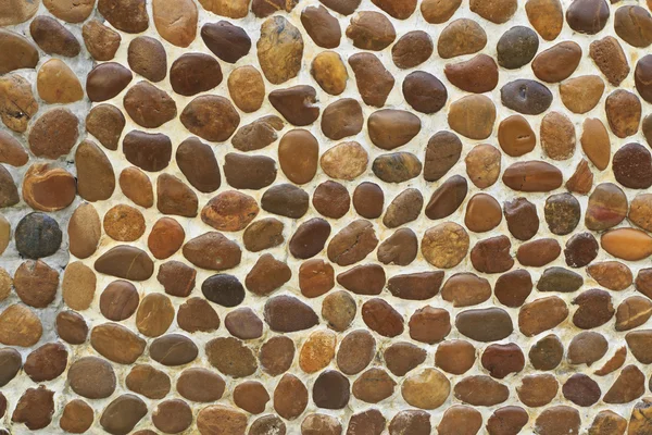 Pebbles background texture — Stock Photo, Image
