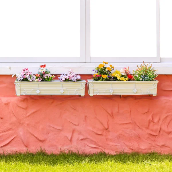 stock image Window and flower box