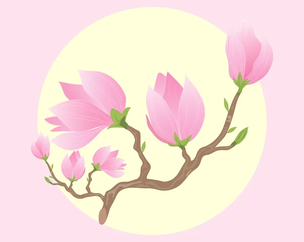 Magnolia — vektorikuva