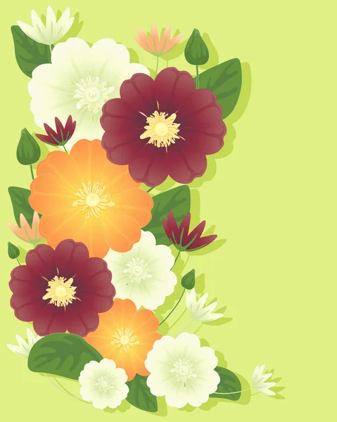 Clematis fleurs — Image vectorielle