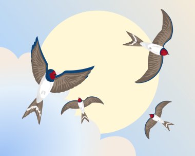 Swallows clipart