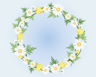 Camomile wreath clipart