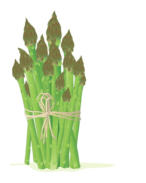 Pakiet szparagi — Wektor stockowy